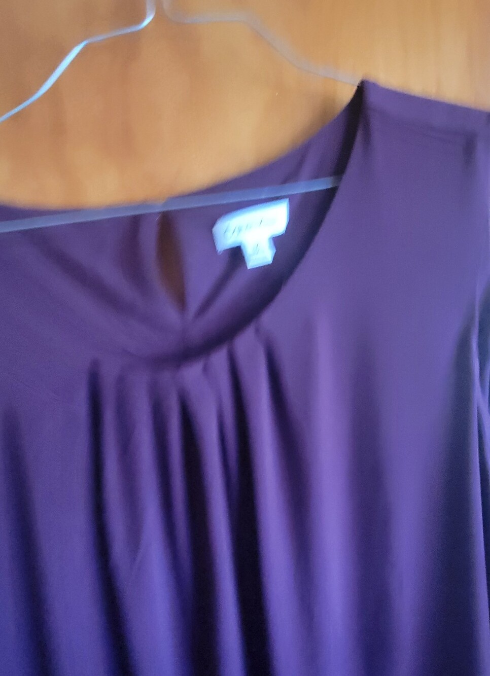 Calvin Klein Sleeveless Pleated Top in Plum -